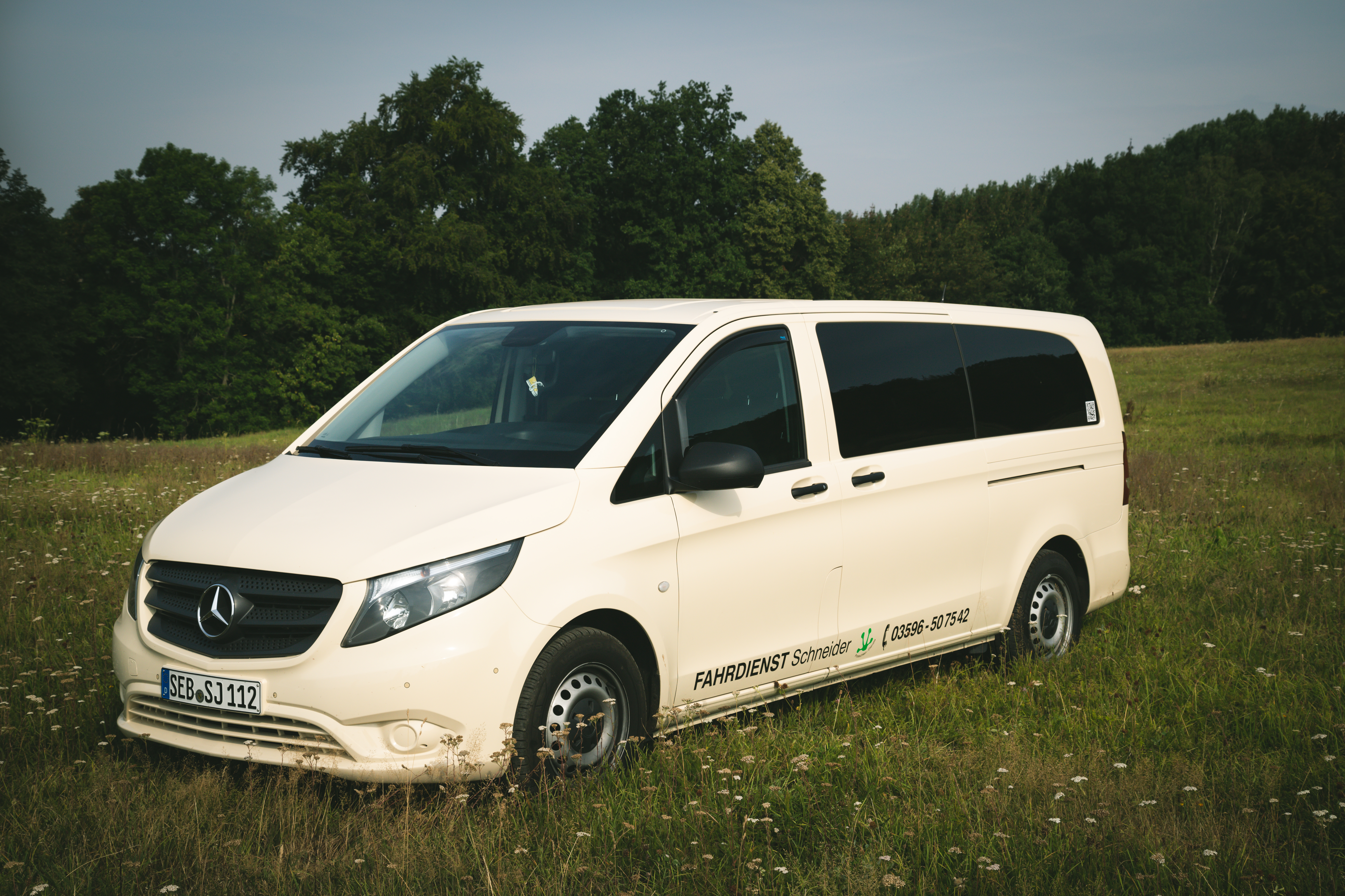 Mercedes Vito – Rollstuhlfahrzeug